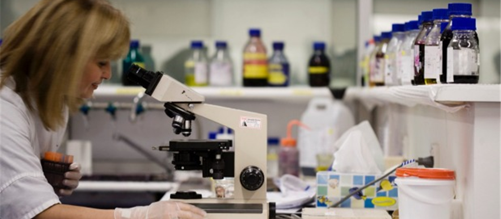 One healthcare stock that plunged on profit downgrade 