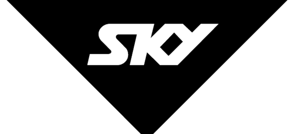 Rise in Sky Network Television 