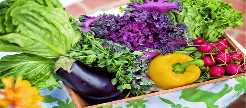 3 Food stocks - Australian Agricultural Company Ltd, Select Harvests Limited and Graincorp Ltd.