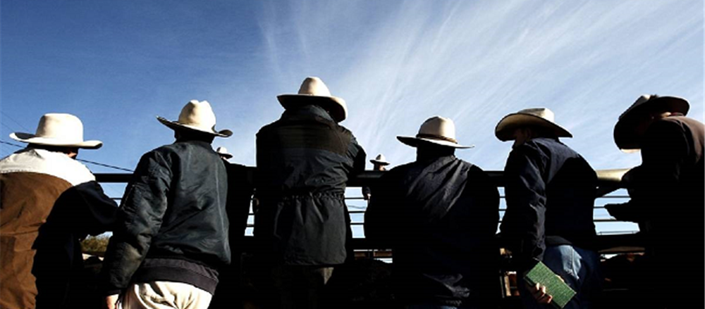 Growth With Agriculture Stocks