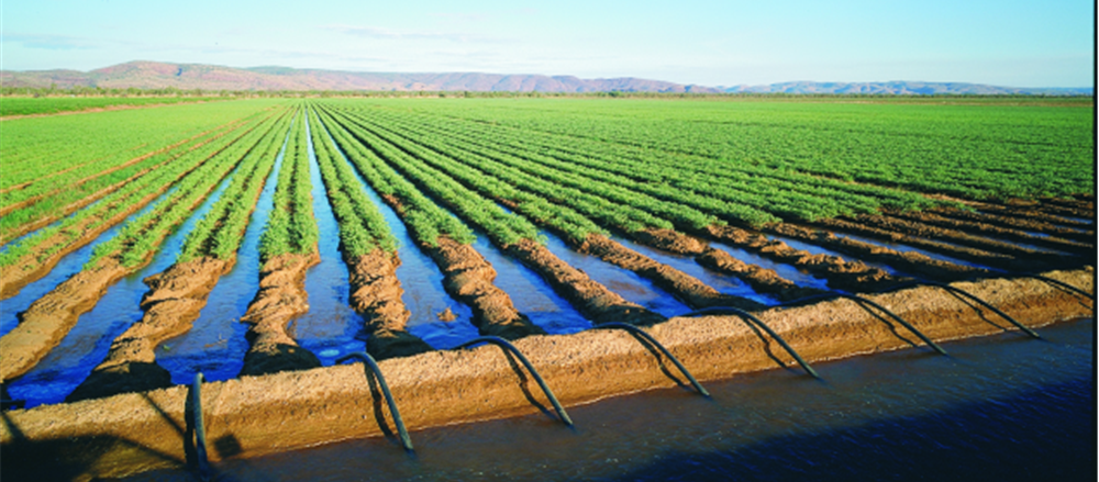 Ten Stocks in Food Production and Agricultural Sector 