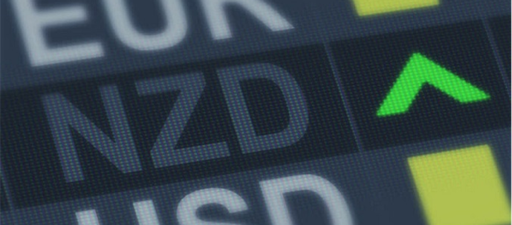 What knocked down the shares on New Zealand stock exchange?