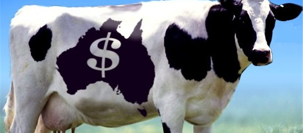 Two ASX stocks that rocketed – Warrnambool Cheese & Butter Factory Co. Holdings Ltd and Bellamy's