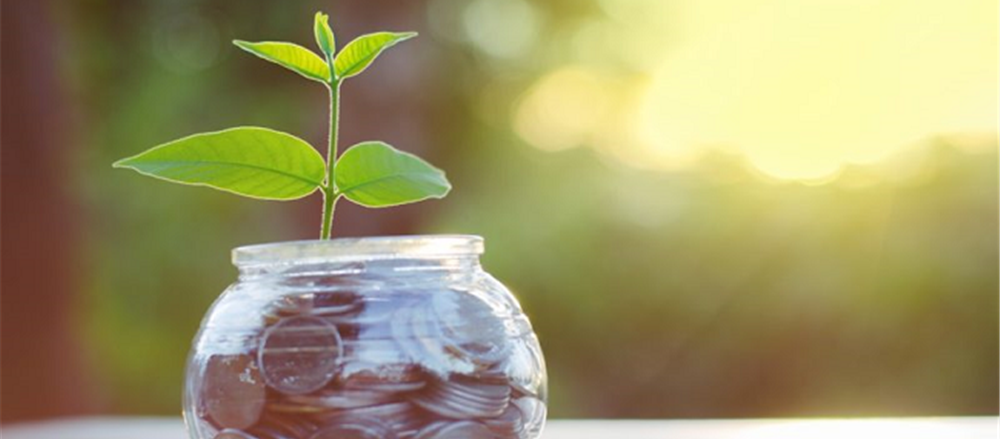 Six interesting small-cap stocks to look at