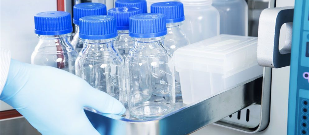 Three stocks rising up - Nanosonics, Qube Holdings and Mantra Group 