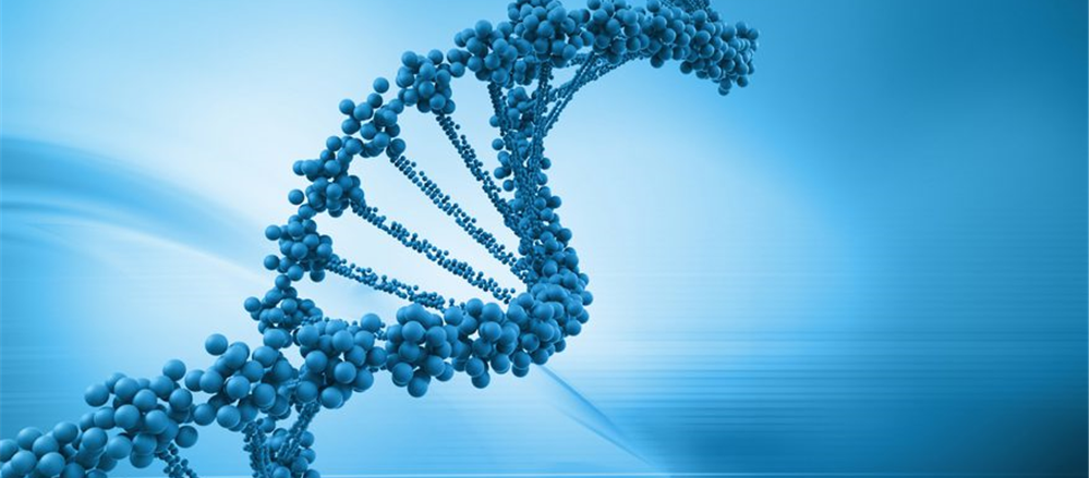 Are these 3 Biotech and Pharma Stocks set to witness growth in 2018 – MSB, SRX and VLA?