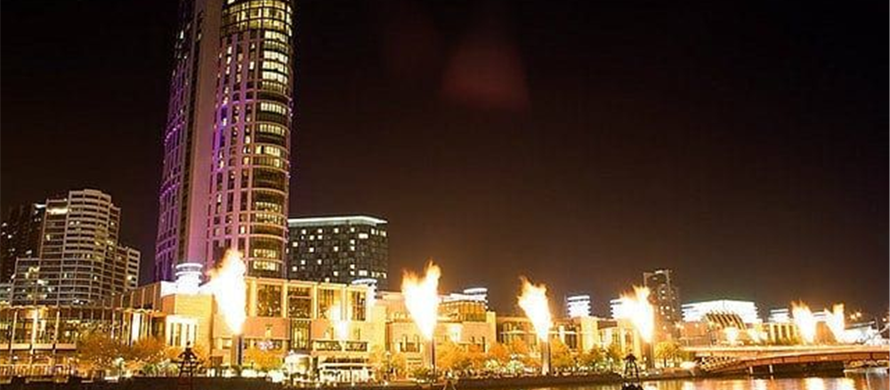 2 Popular stocks starting from 'C' - CWN, CCL 