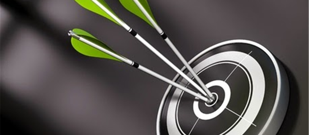 Two stocks that did well - Platinum Asset Management Ltd. and Galaxy Resources Ltd.