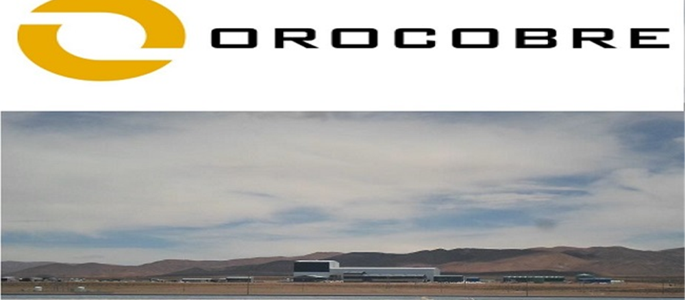 Two stocks that fell hard on ASX- Orocobre Limited and Nine Entertainment Co Holdings Limited