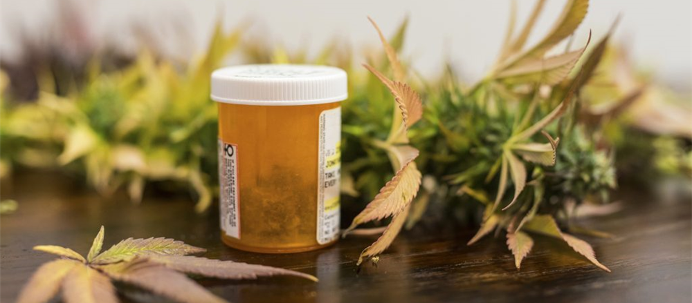 Should you take a look at Ecofibre (ASX: EOF) for investment purposes? 