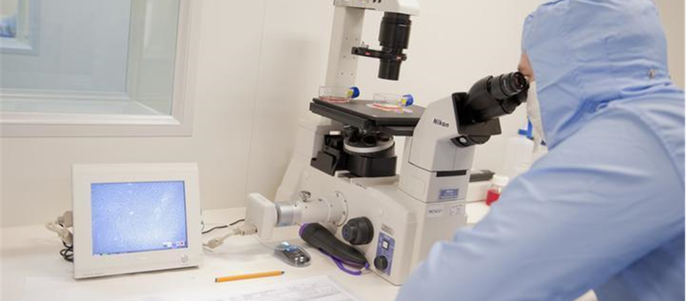 2 Healthcare Stocks to Watch - IVX, PTX