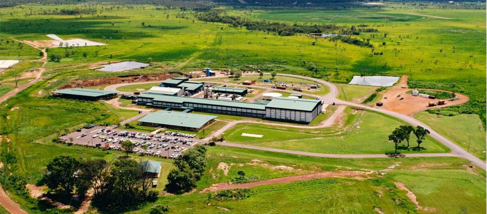 2 Food Producers - AAC and WHA