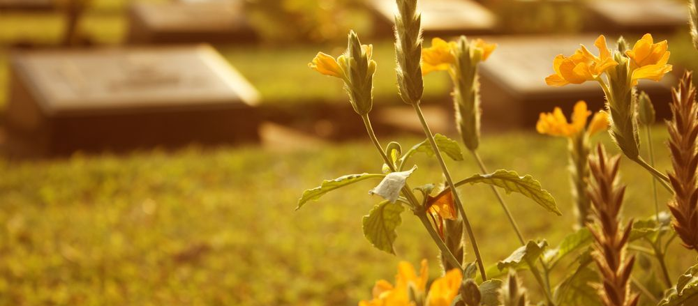 One Consumer Discretionary Stock to Sell - InvoCare Limited