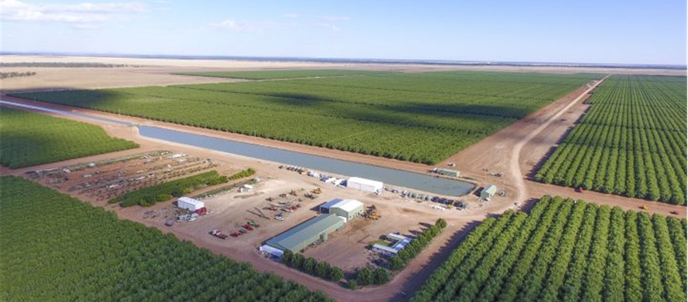 One Stock to go ex-dividend soon - Rural Funds Group (ASX: RFF) 