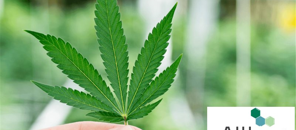 5 Pot Stocks – AGH, AC8, CAN, EXL, MDC