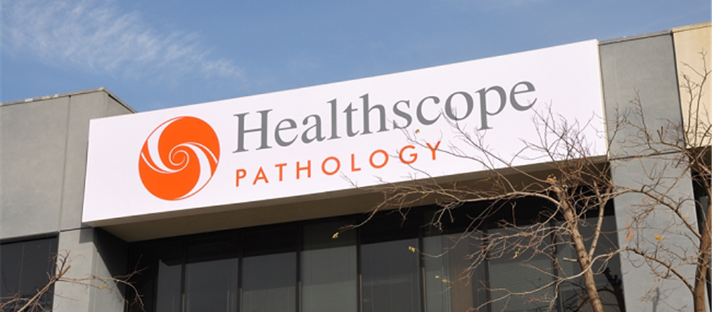 Which healthcare stocks should you be holding for now? 