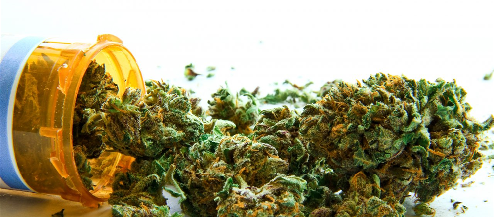 What is cooking with these 6 Pot Stocks – AC8, CPH, CAN, THC, SCU and ZLD  