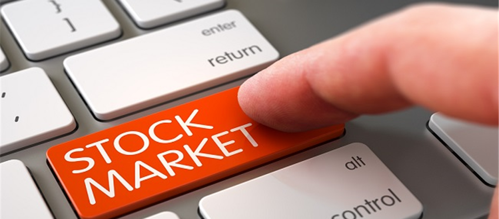 Why investors should have a mix of large and small cap stocks in their portfolio? 