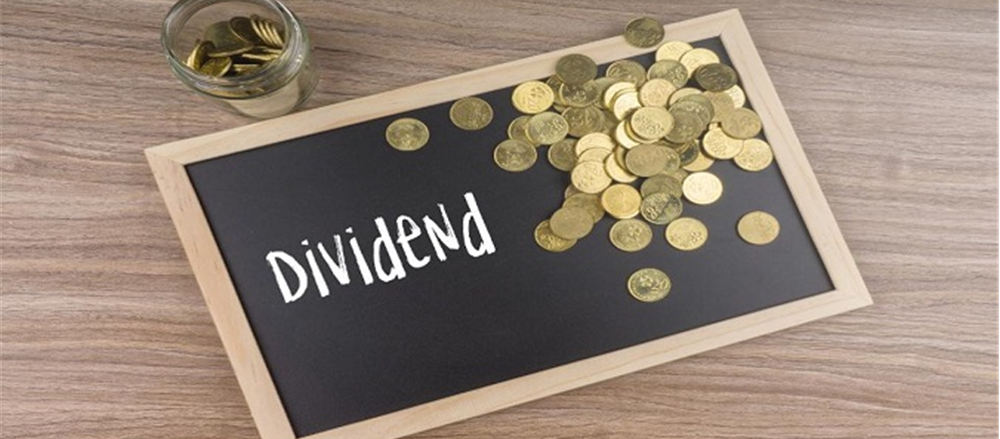 2 High Dividend-paying Stocks - QBE Insurance Group Ltd and Myer Holdings Ltd