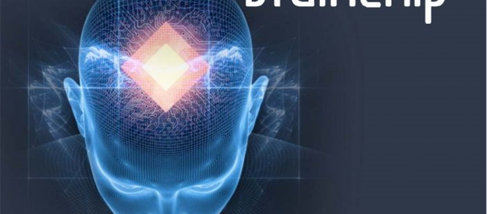 Latest with 2 Artificial Intelligence Stocks – BRN and OPN