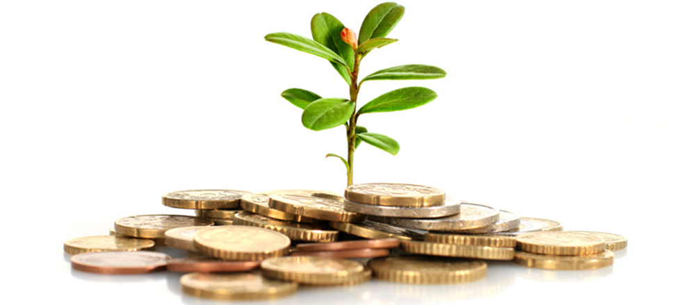 One Stock to Watch- AIY