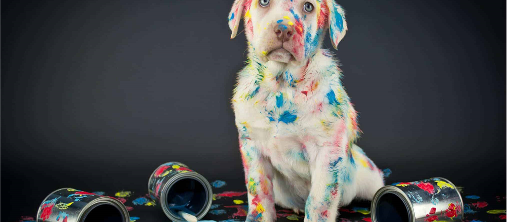 Are these 4 Stocks trading at higher levels- DLX, CIM, RRL, WTC