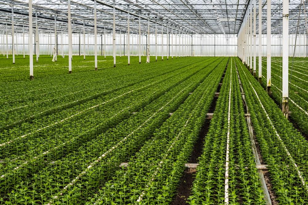 One Defensive Agri Stock Trading Near Resistance Levels – CTVA