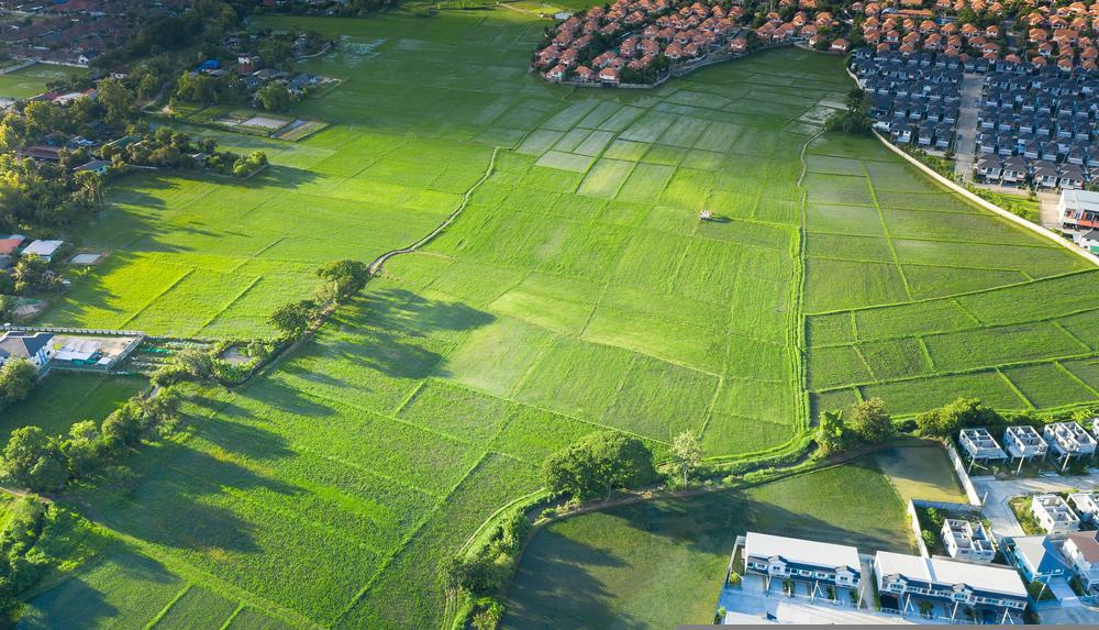 One REIT Stock Set to Benefit from Rising Rental Income in Macadamia Developments- RFF