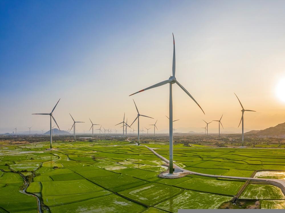 High Capital Intensity and Policy Uncertainty Weigh on AGL’s Risk-Reward