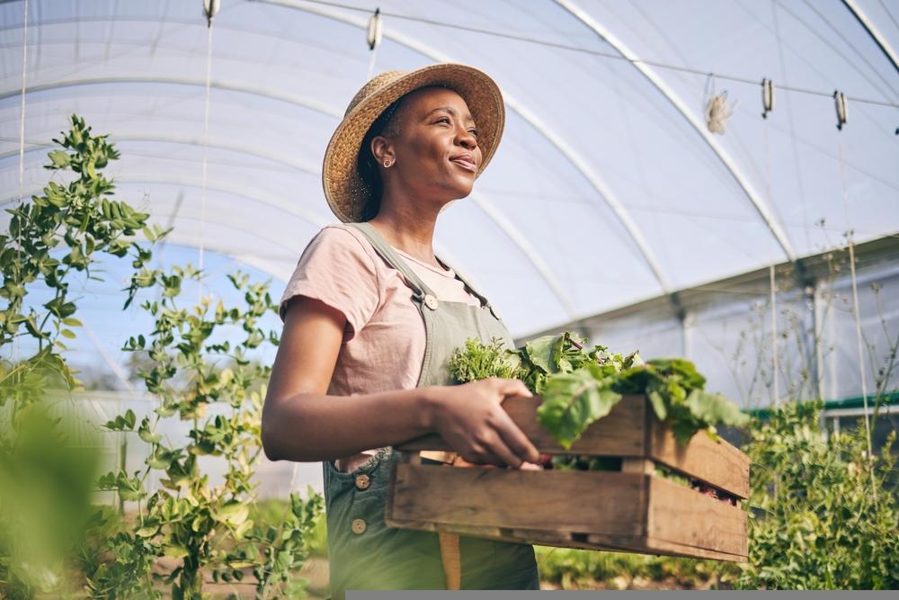 Is This Agricultural Sciences Stock Worth Considering – FMC?